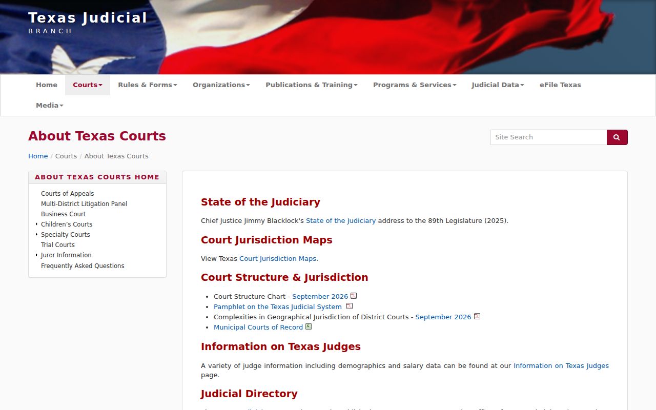 Brooks County arrest warrant Texas court structure reference